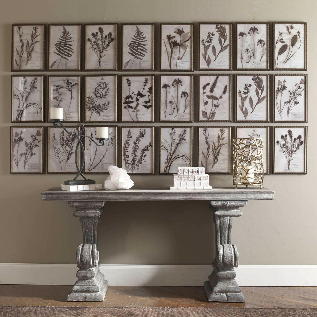 Black Label Botany Framed Prints, S/18.