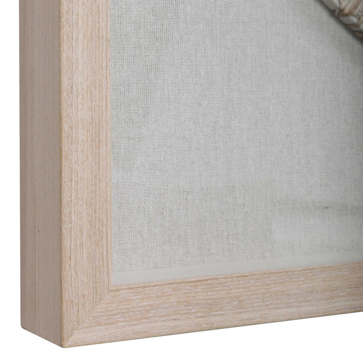 Black Label Braided Cirque Shadow Box.