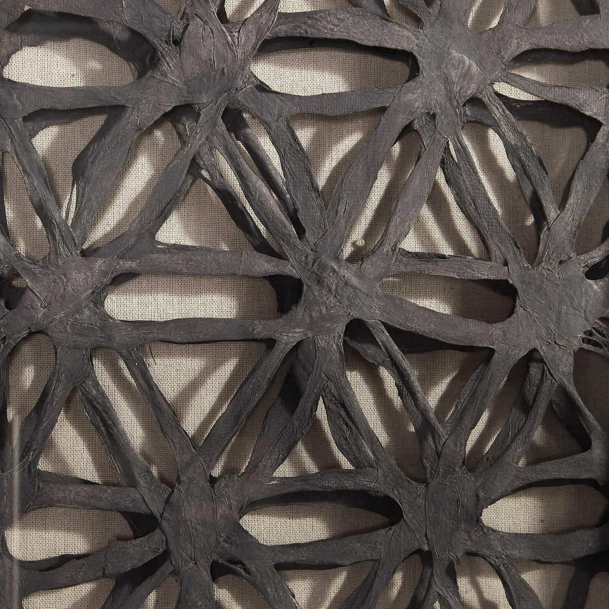 Black Label Caroni Shadow Boxes, S/2.