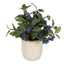 Uttermost Accessories Blueberry Fields Accent House of Isabella UK