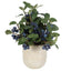 Uttermost Accessories Blueberry Fields Accent House of Isabella UK