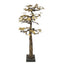 Uttermost Accessories Bonsai Sculpture Large House of Isabella UK