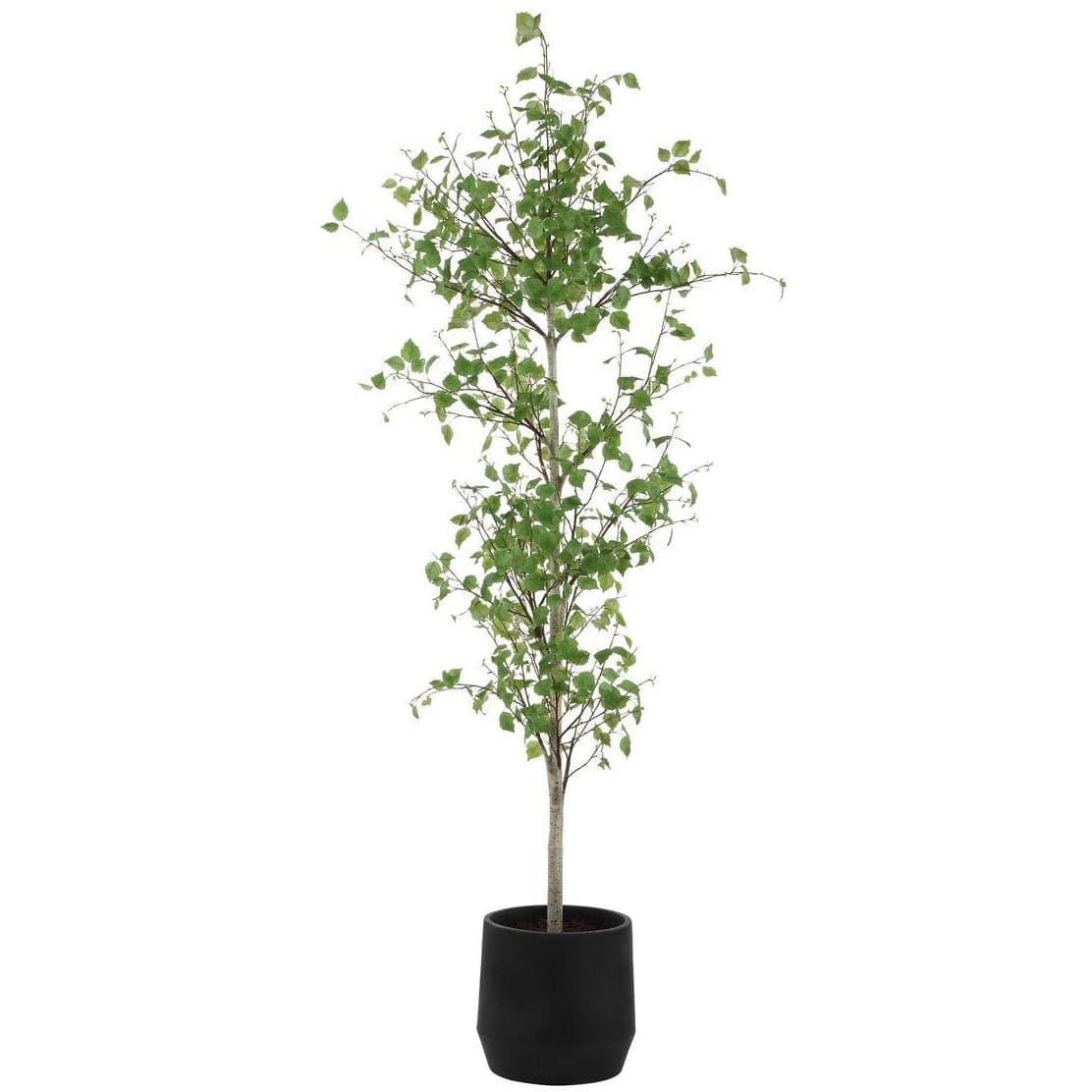 Uttermost Accessories Boreal Potted Birch Tree House of Isabella UK