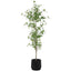 Uttermost Accessories Boreal Potted Birch Tree House of Isabella UK