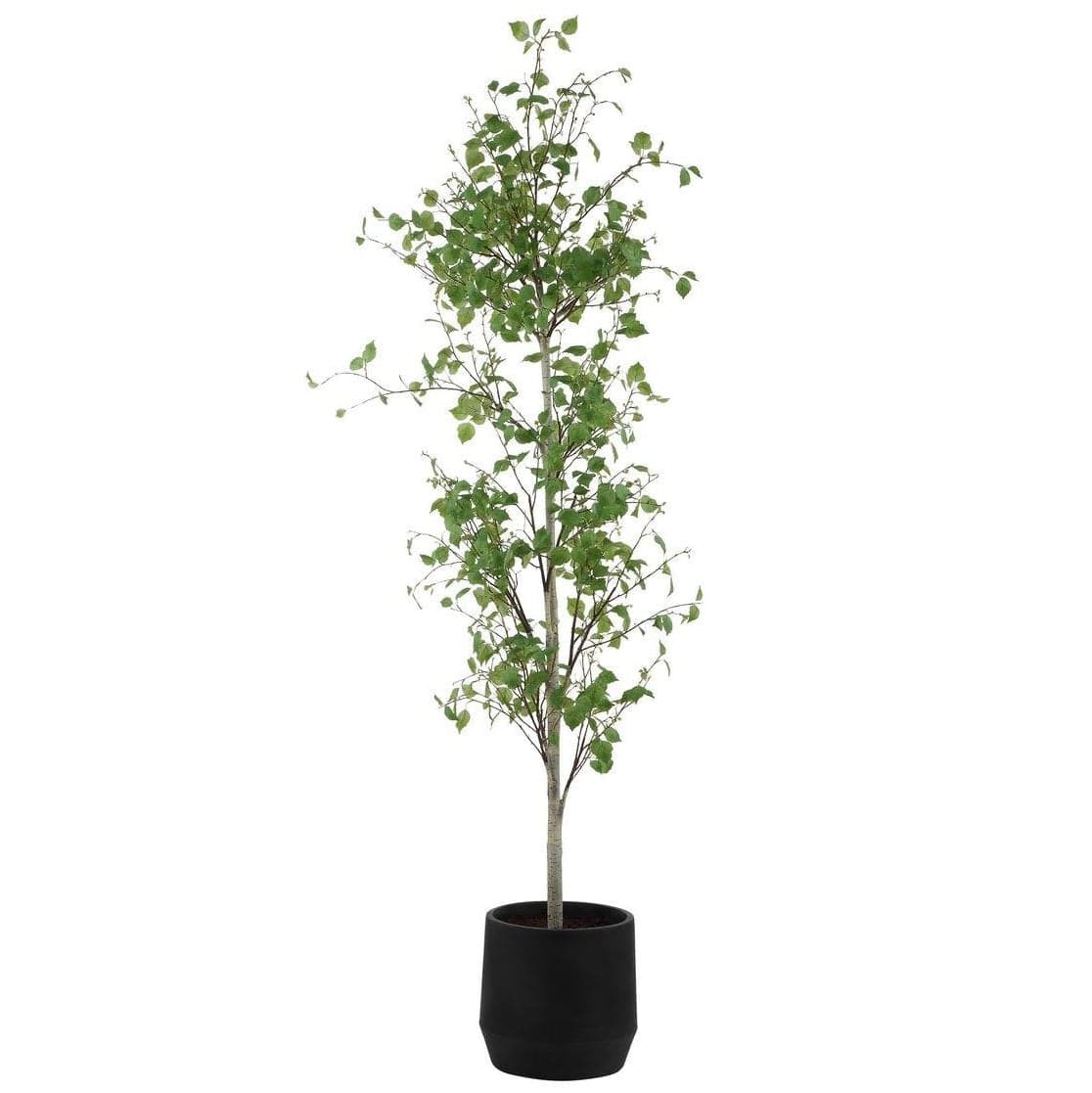 Uttermost Accessories Boreal Potted Birch Tree House of Isabella UK