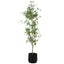 Uttermost Accessories Boreal Potted Birch Tree House of Isabella UK