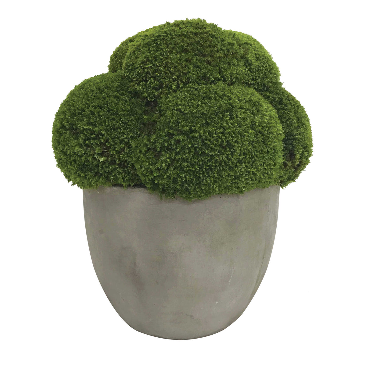 Uttermost Accessories Cale Moss Accent House of Isabella UK