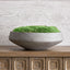 Uttermost Accessories Cale Moss Centerpiece House of Isabella UK