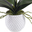 Uttermost Accessories Cami White Orchid House of Isabella UK