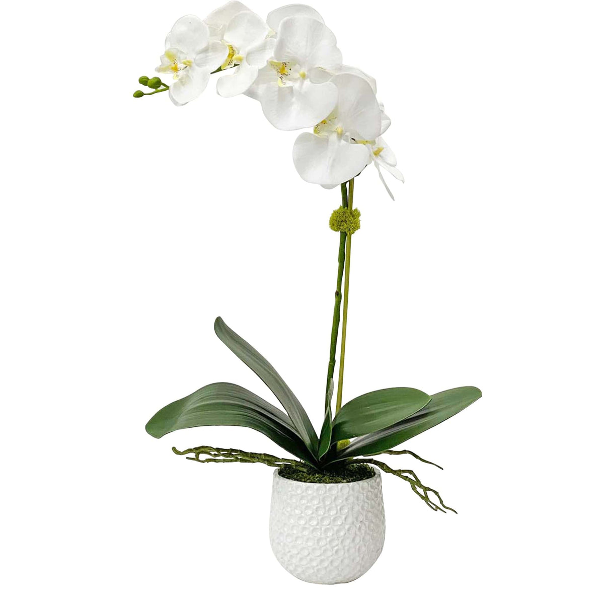 Uttermost Accessories Cami White Orchid House of Isabella UK