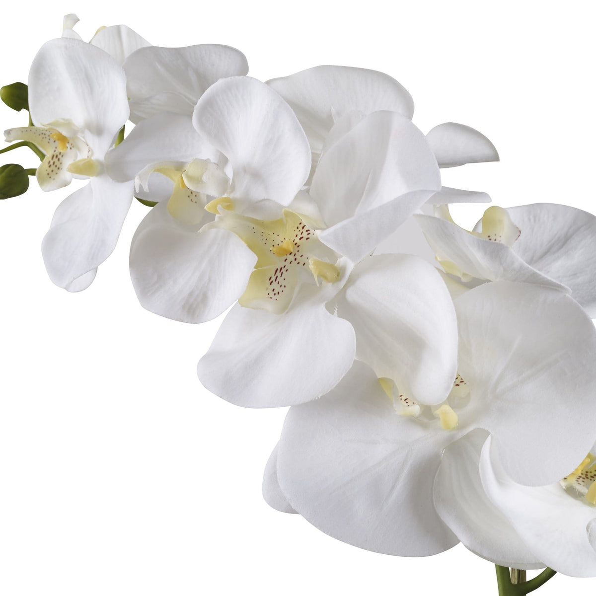 Uttermost Accessories Cami White Orchid House of Isabella UK