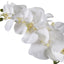 Uttermost Accessories Cami White Orchid House of Isabella UK