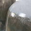 Uttermost Accessories Cardoni Smoke Vases - Set of 2 House of Isabella UK