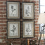 Uttermost Accessories Casual Grey Study Framed Art Set/4 House of Isabella UK