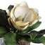 Uttermost Accessories Celia Silk Magnolia Accent House of Isabella UK