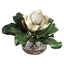 Uttermost Accessories Celia Silk Magnolia Accent House of Isabella UK