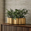 Uttermost Accessories Classic Cachepot - Oval House of Isabella UK