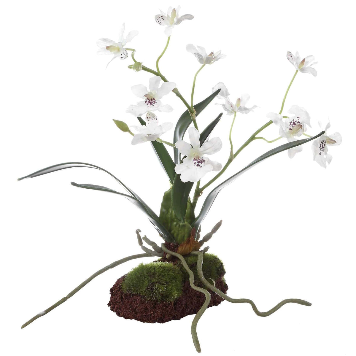 Uttermost Accessories Clovis Orchid Drop-In House of Isabella UK