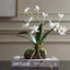 Uttermost Accessories Clovis Orchid Drop-In House of Isabella UK