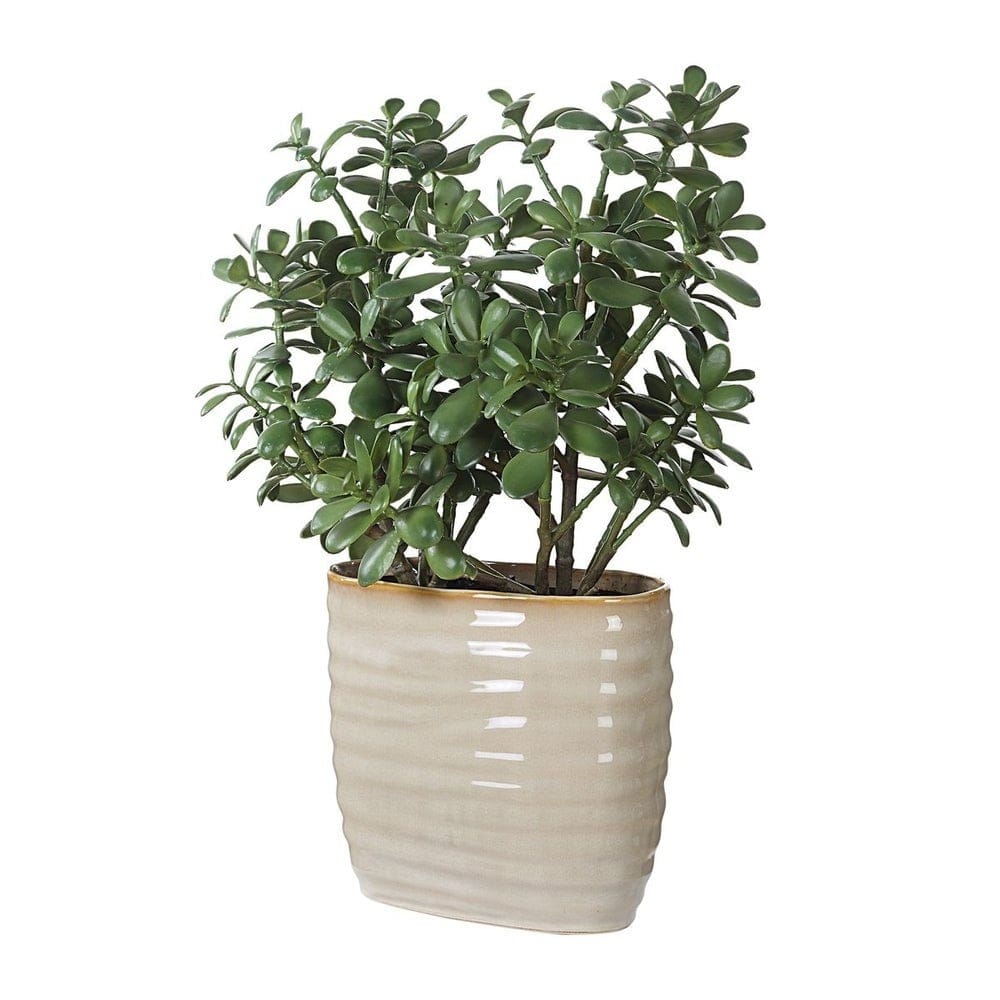 Uttermost Accessories Crassula Jade Accent House of Isabella UK