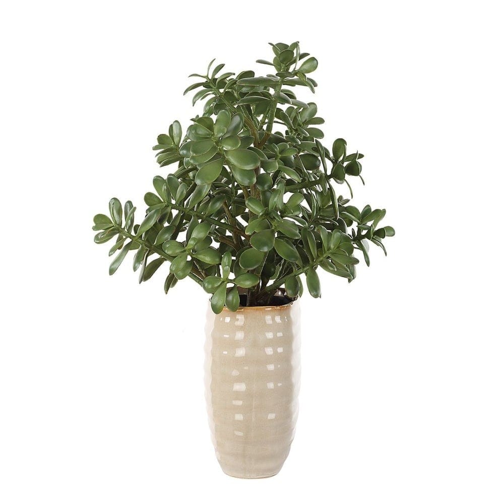 Uttermost Accessories Crassula Jade Accent House of Isabella UK