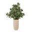 Uttermost Accessories Crassula Jade Accent House of Isabella UK