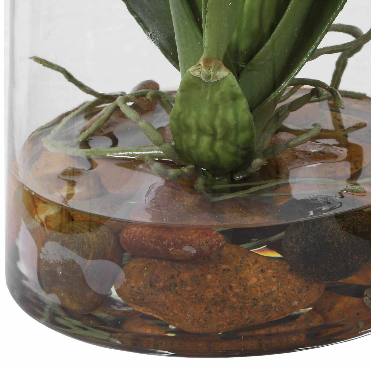 Uttermost Accessories Dancing Orchid In Glass Vase House of Isabella UK