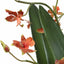 Uttermost Accessories Dancing Orchid In Glass Vase House of Isabella UK