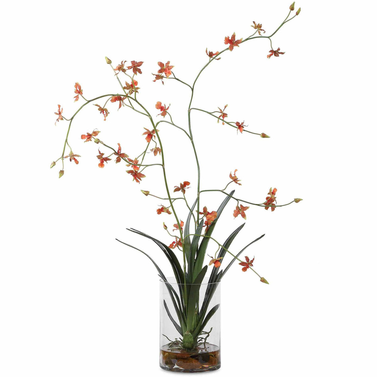 Uttermost Accessories Dancing Orchid In Glass Vase House of Isabella UK