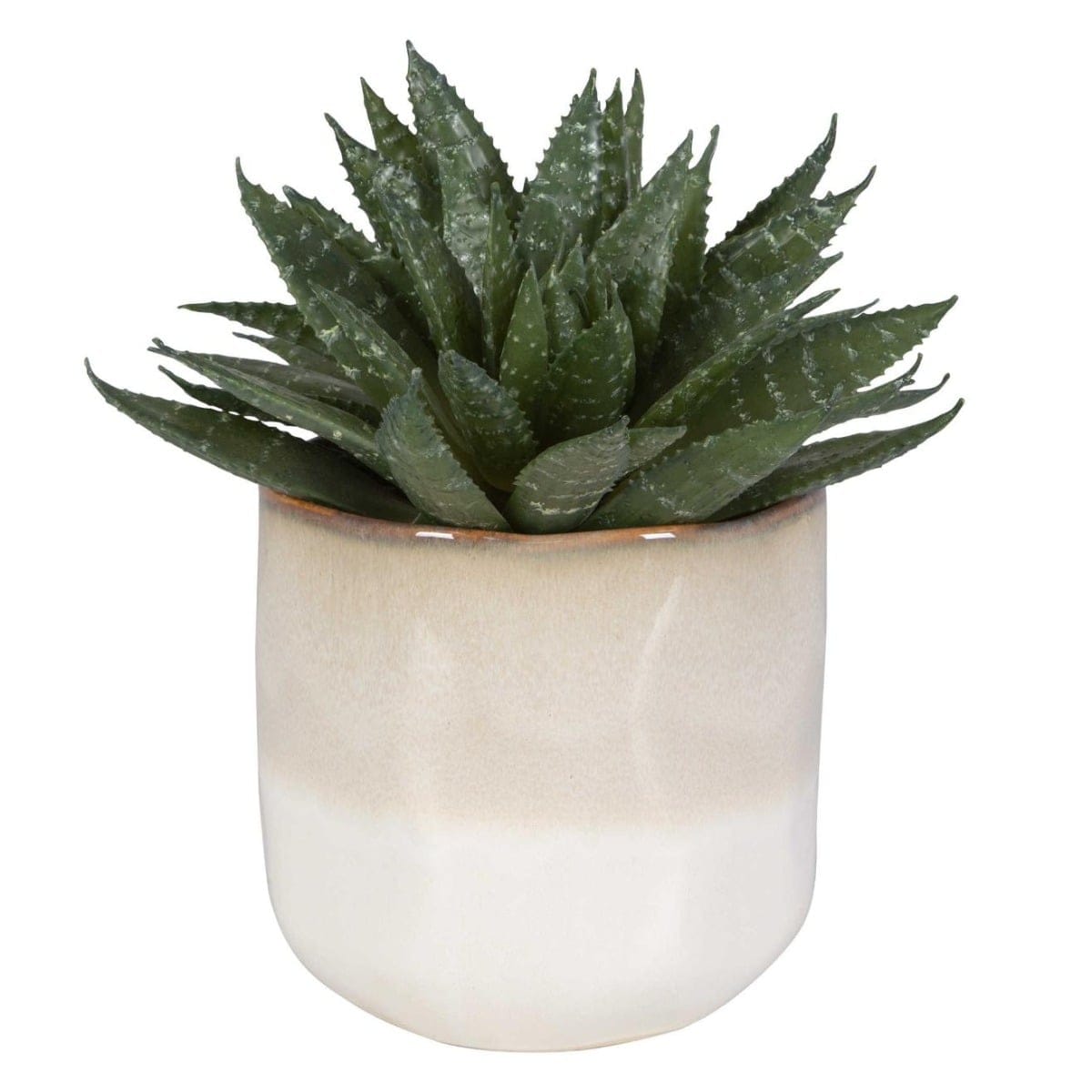 Uttermost Accessories Doha Succulent Accent House of Isabella UK