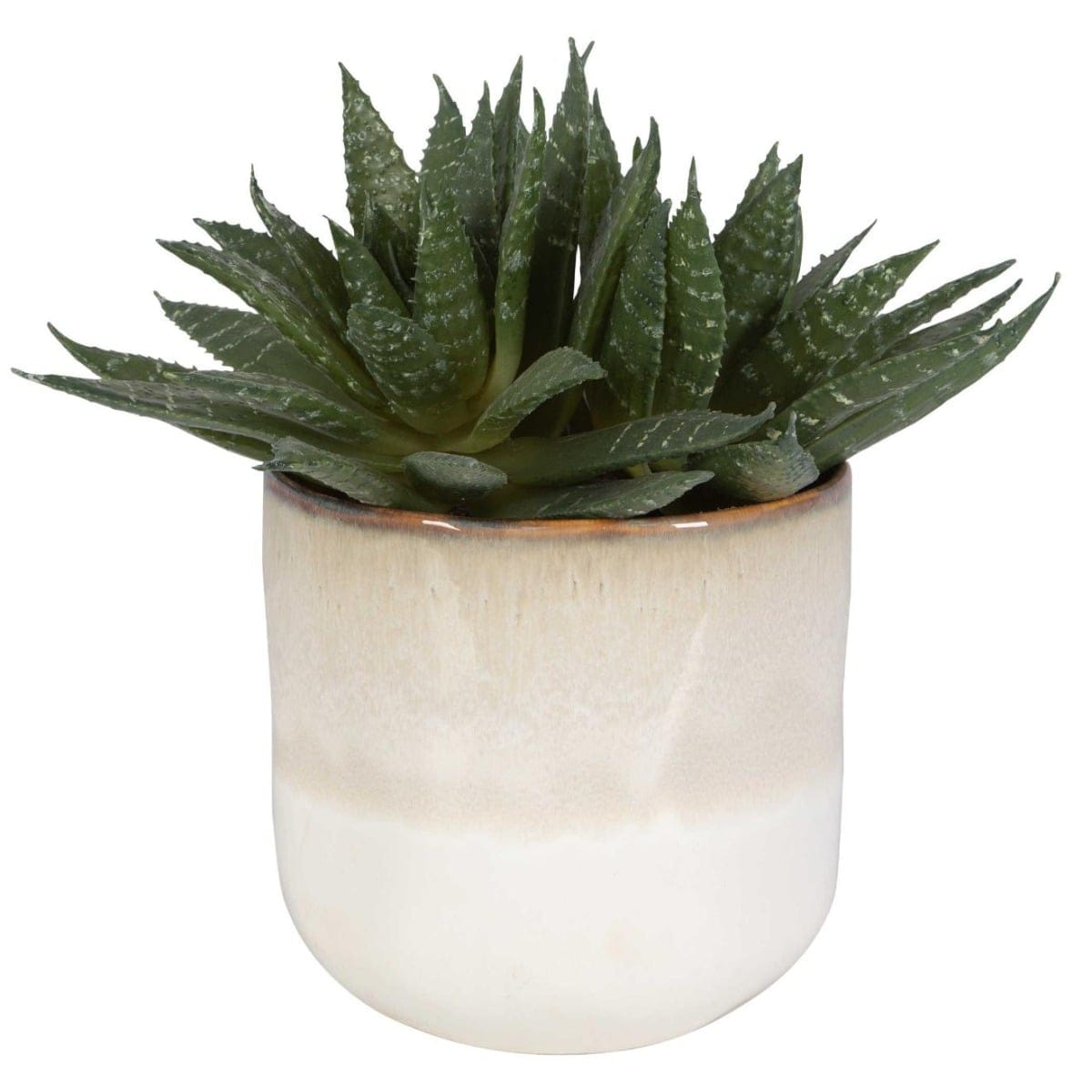 Uttermost Accessories Doha Succulent Accent House of Isabella UK