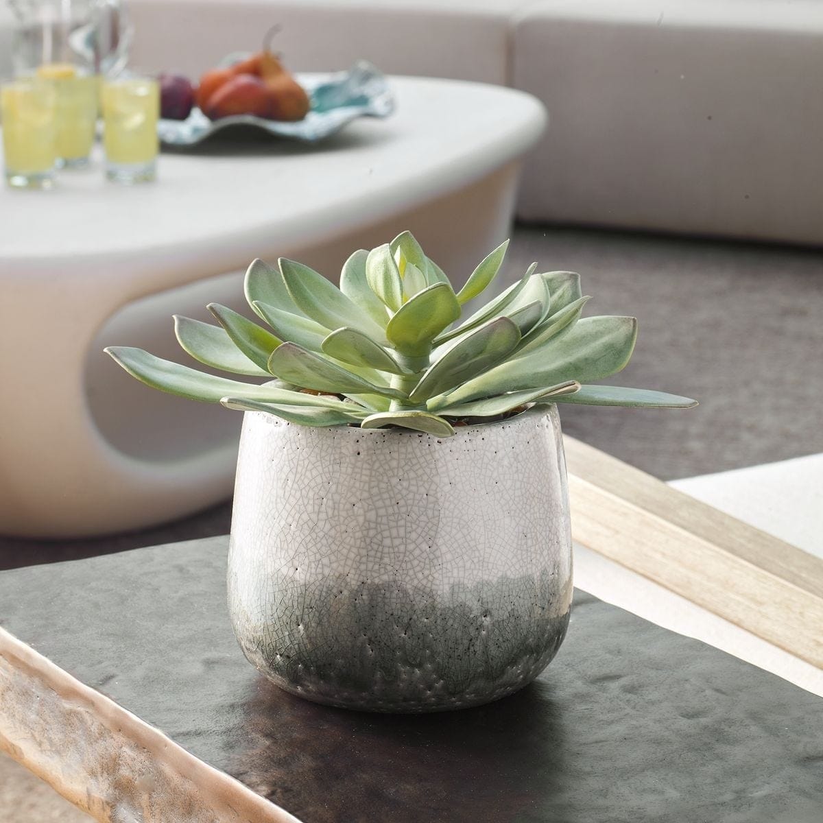 Uttermost Accessories Dudleya Gray Outdoor Succulent House of Isabella UK