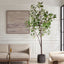 Uttermost Accessories Eden Potted Fig Tree House of Isabella UK