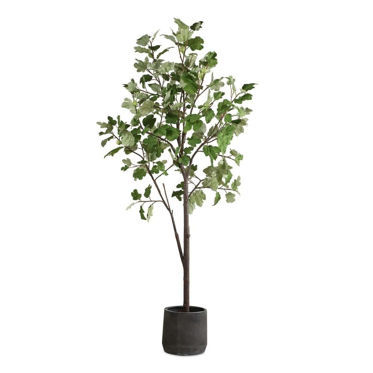Uttermost Accessories Eden Potted Fig Tree House of Isabella UK
