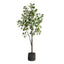 Uttermost Accessories Eden Potted Fig Tree House of Isabella UK