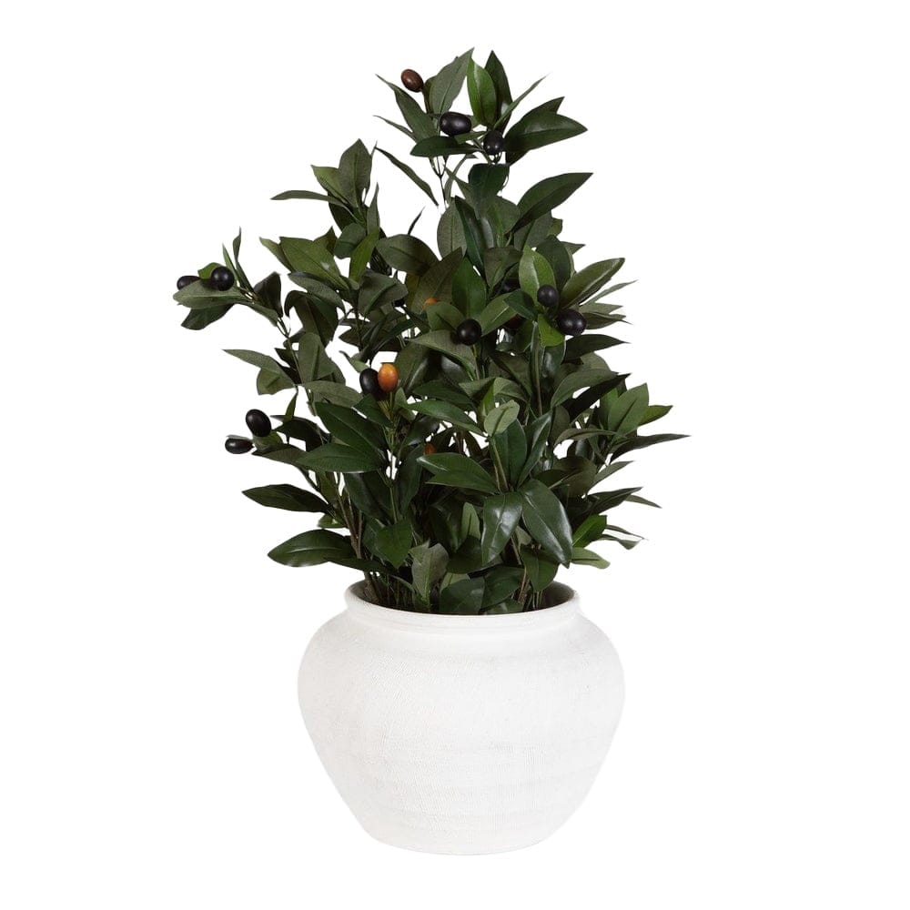 Uttermost Accessories Elena Olive Centerpiece House of Isabella UK