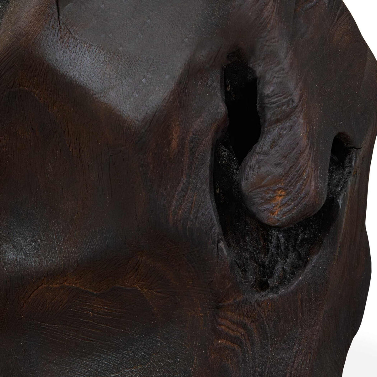 Uttermost Accessories Ember Root Teak Sculpture, Set of 2 House of Isabella UK
