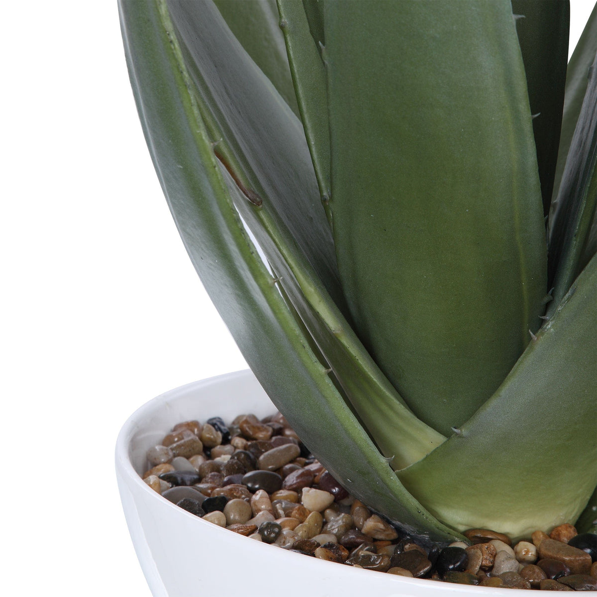 Uttermost Accessories Evarado Aloe Planter House of Isabella UK
