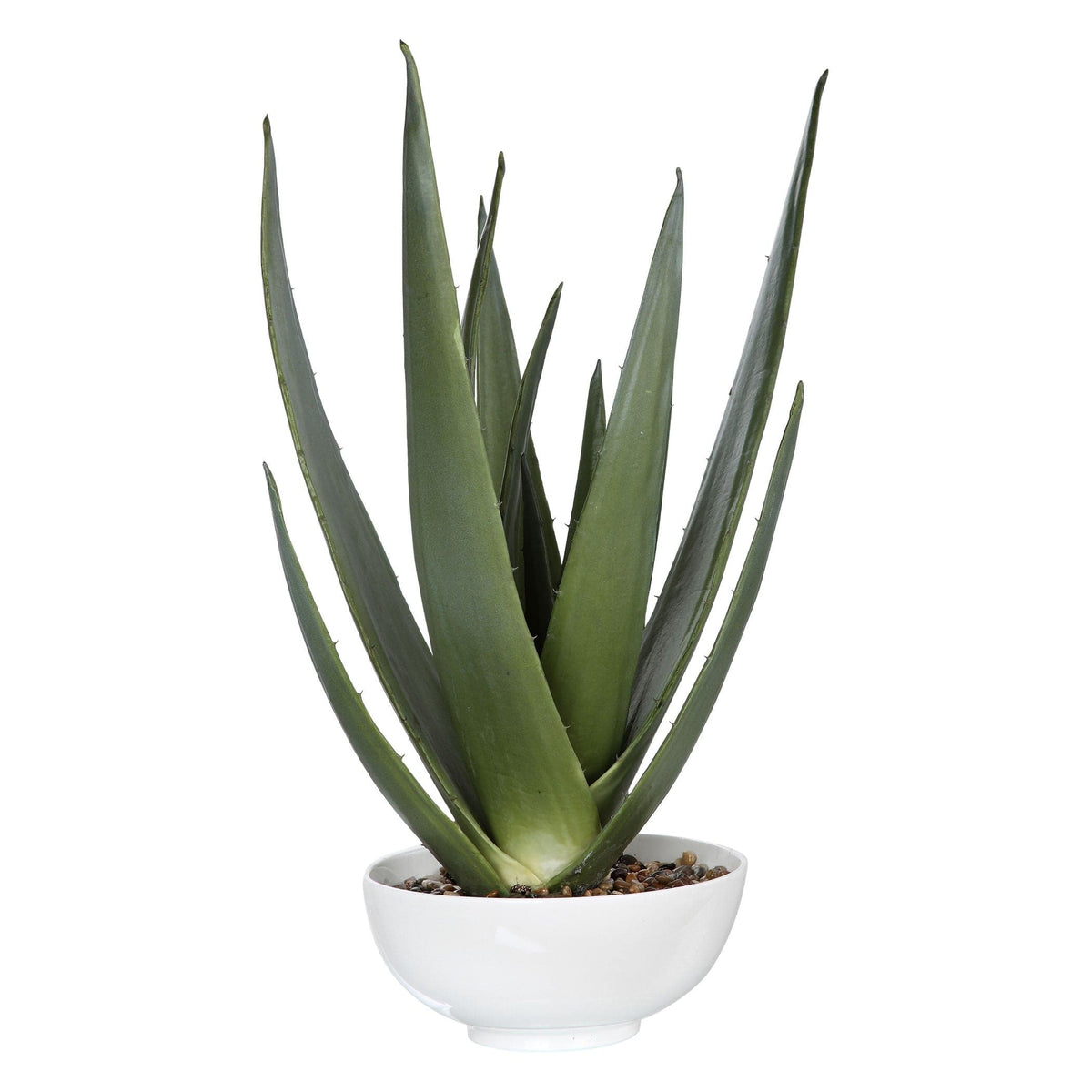 Uttermost Accessories Evarado Aloe Planter House of Isabella UK