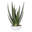 Uttermost Accessories Evarado Aloe Planter House of Isabella UK