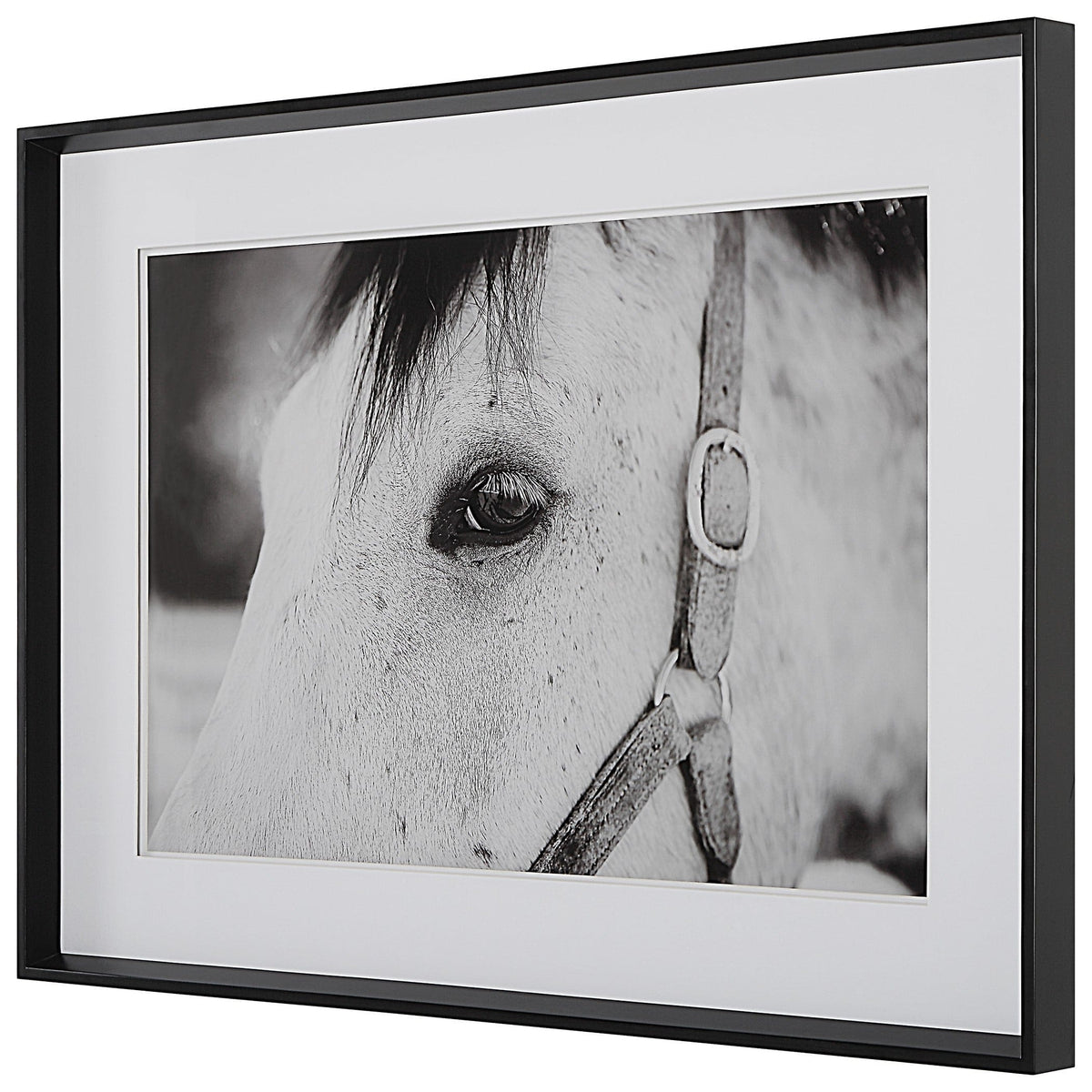 Uttermost Accessories Eye Of The Beholder Framed Print House of Isabella UK