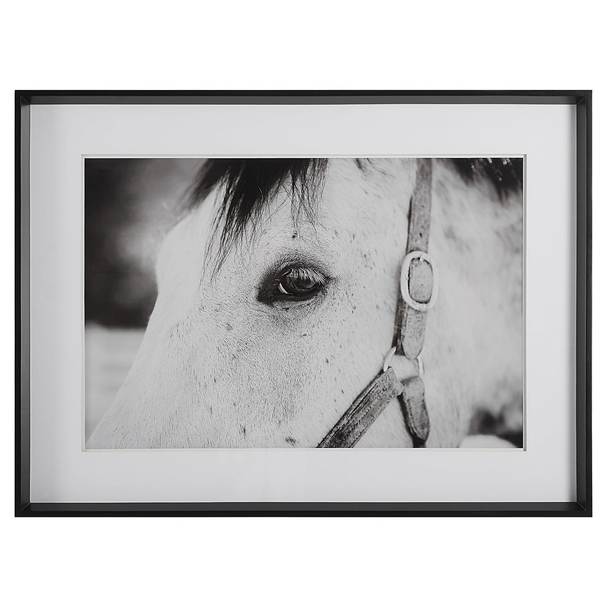 Uttermost Accessories Eye Of The Beholder Framed Print House of Isabella UK