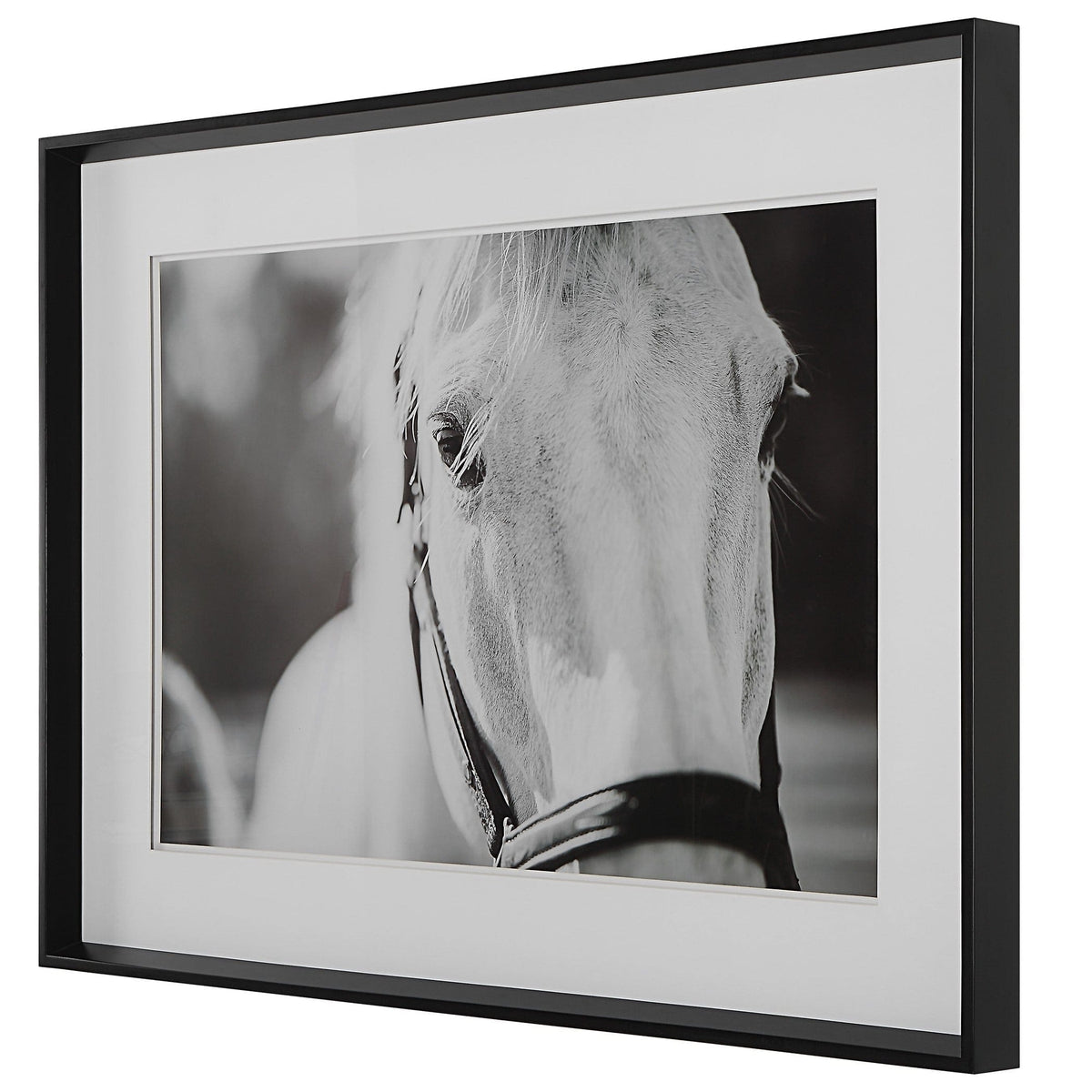 Uttermost Accessories Eyes On The Prize Framed Print House of Isabella UK
