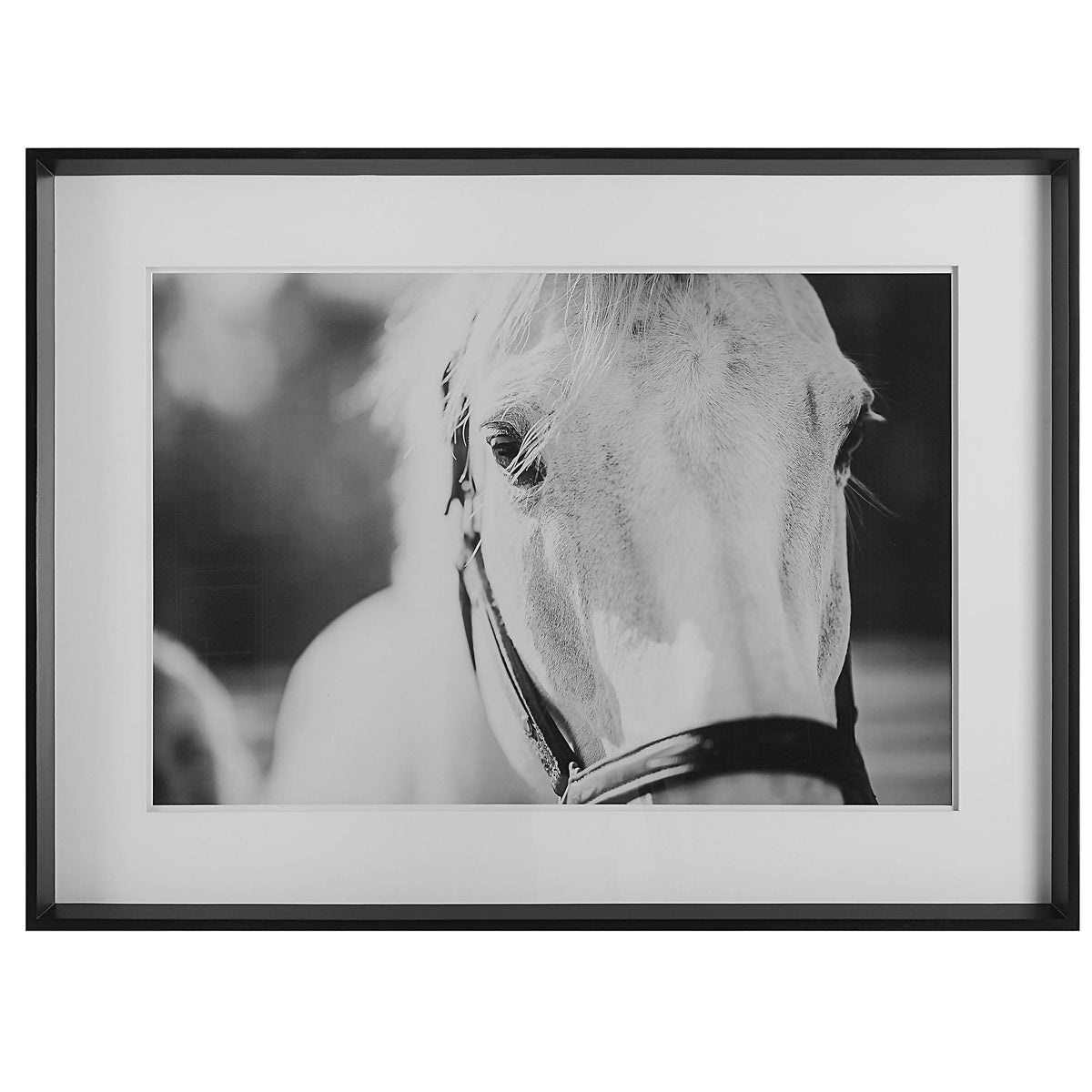 Uttermost Accessories Eyes On The Prize Framed Print House of Isabella UK