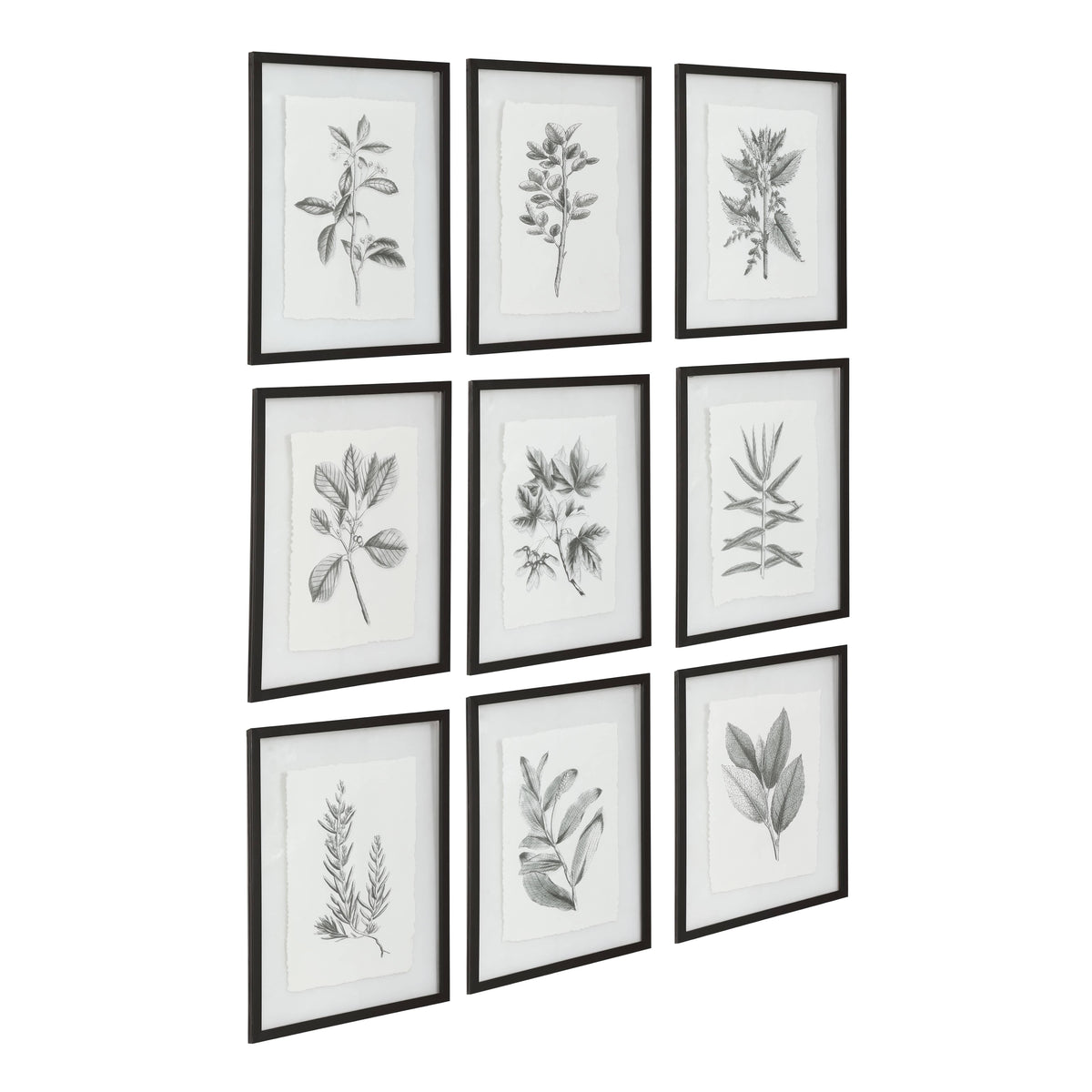 Uttermost Accessories Farmhouse Florals Framed Prints, S/9 House of Isabella UK