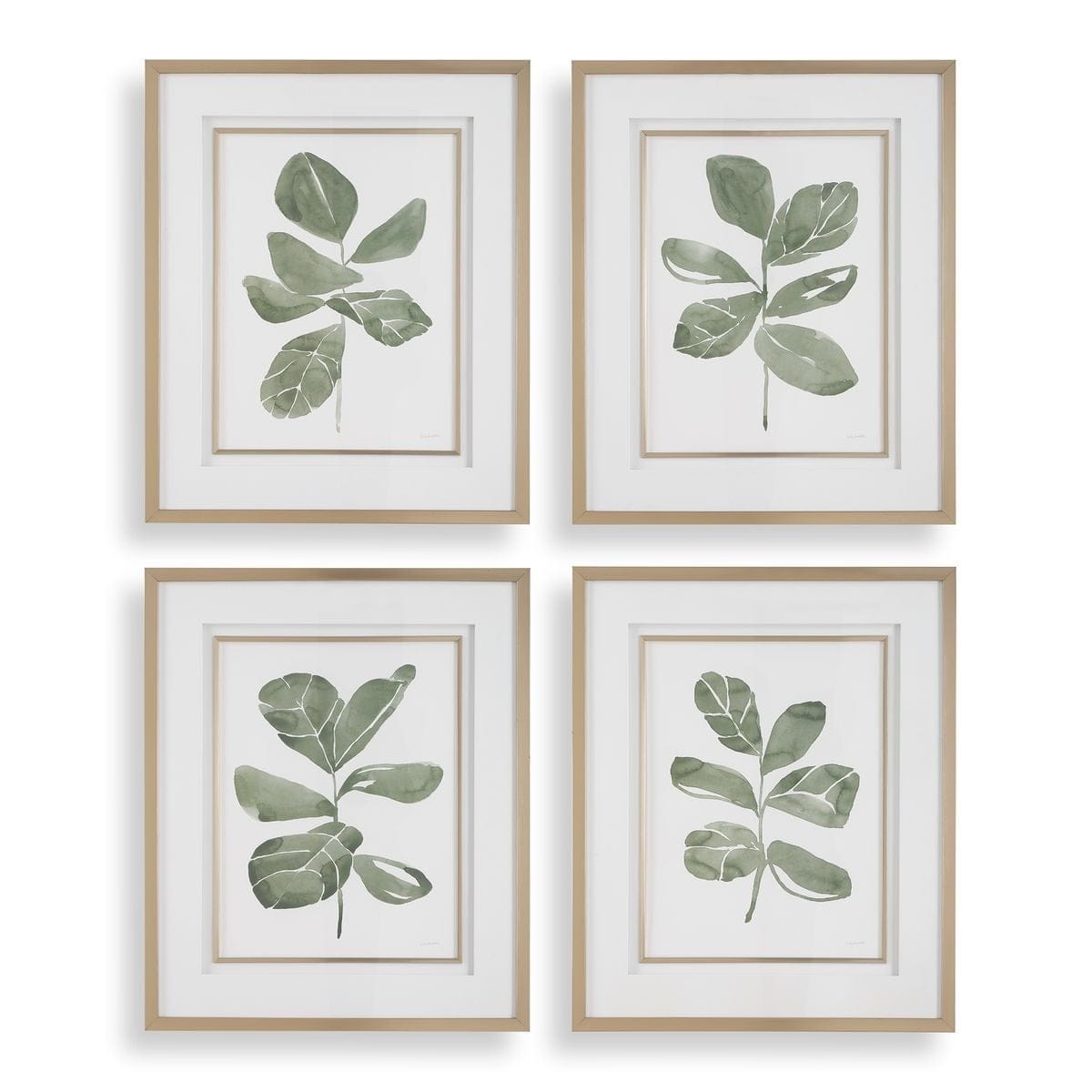 Uttermost Accessories Fiddle Head Leaf Botanical Prints Set of 4 House of Isabella UK