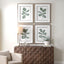 Uttermost Accessories Fiddle Head Leaf Botanical Prints Set of 4 House of Isabella UK