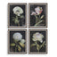 Uttermost Accessories Florals On Black Framed Prints, Set of 4 House of Isabella UK