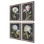 Uttermost Accessories Florals On Black Framed Prints, Set of 4 House of Isabella UK