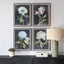 Uttermost Accessories Florals On Black Framed Prints, Set of 4 House of Isabella UK